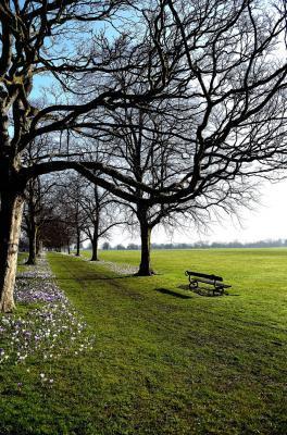 A Walk In The Park